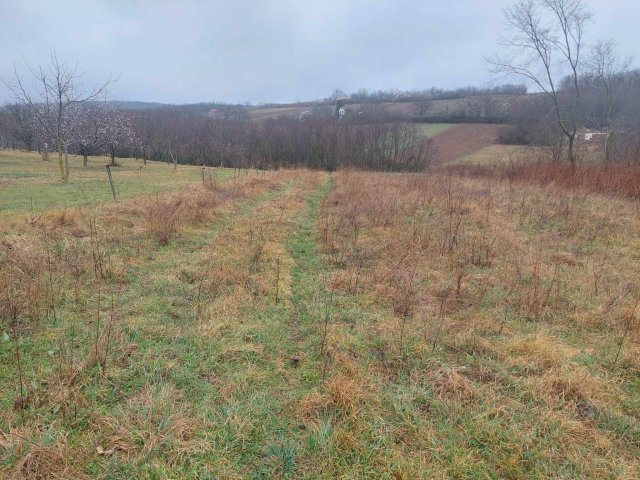 Eladó telek, Szőlősgyörökön 9.9 M Ft / költözzbe.hu