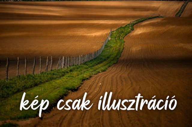Eladó mezogazdasagi ingatlan, Ráckevén 2.9 M Ft