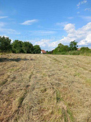 Eladó telek, Balatonszabadiban 26.5 M Ft / költözzbe.hu