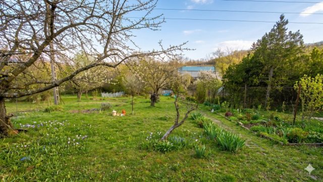 Eladó mezogazdasagi ingatlan, Dunabogdányban 21.5 M Ft