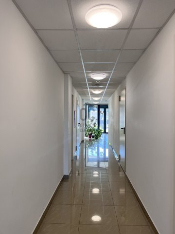 Kiadó téglalakás, albérlet, Budapesten, I. kerületben, 1 szobás