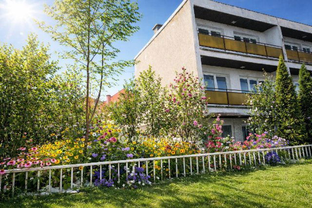 Eladó sorház, Ajkán 43.9 M Ft, 4+1 szobás / költözzbe.hu