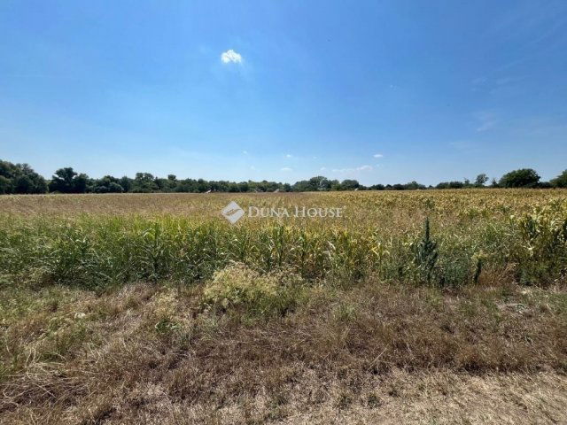 Eladó telek, Pátkán 4.5 M Ft / költözzbe.hu