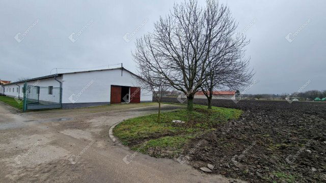 Kiadó ipari ingatlan, Komáromban 300 E Ft / hó