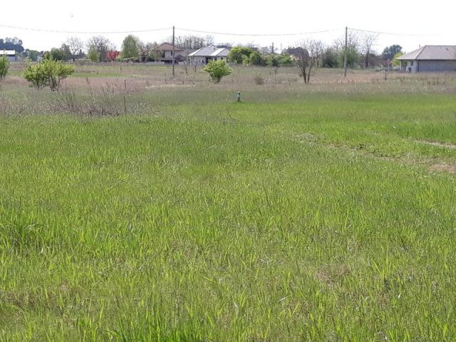 Eladó telek, Dabason 31 M Ft / költözzbe.hu