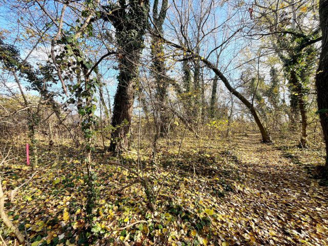 Eladó telek, Dömsödön 4.4 M Ft / költözzbe.hu