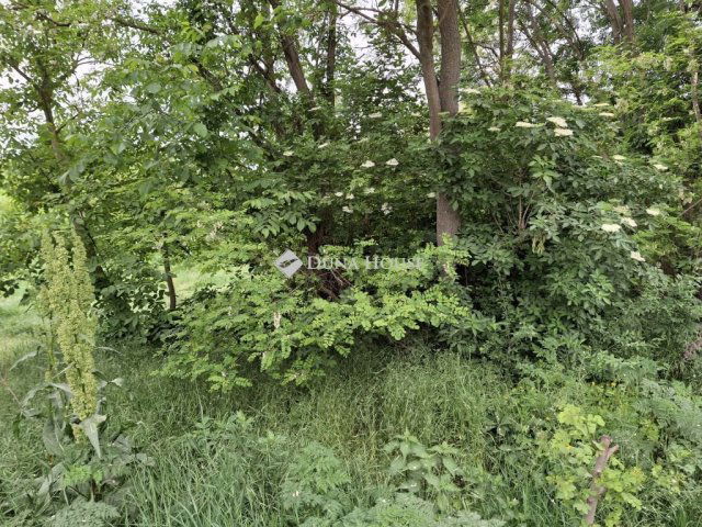 Eladó mezogazdasagi ingatlan, Vértesacsán 11 M Ft