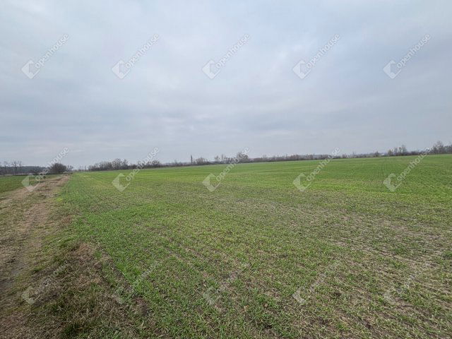 Eladó telek, Csévharaszton 90 M Ft / költözzbe.hu