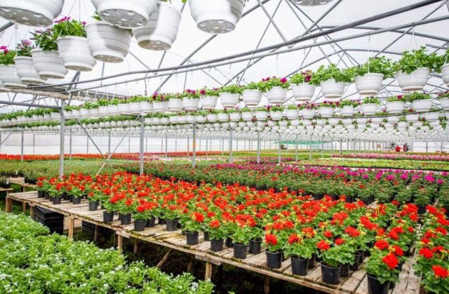 Eladó mezogazdasagi ingatlan, Telkibányán 150 M Ft