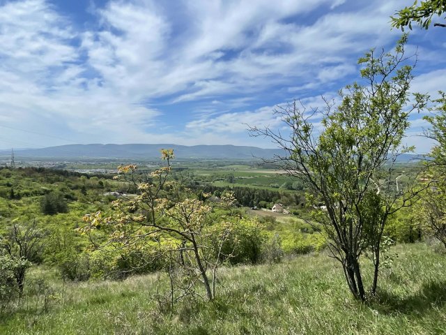 Eladó telek, Vácon 11 M Ft / költözzbe.hu