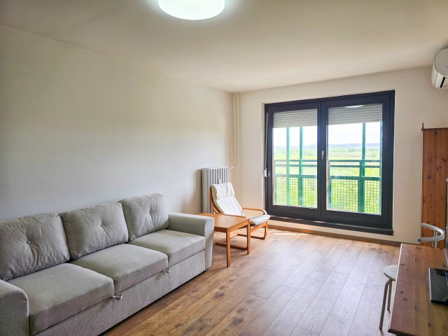 Kiadó panellakás, albérlet, Budapesten, IV. kerületben, 1 szobás