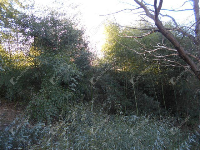 Eladó telek, Zalaegerszegen 9 M Ft / költözzbe.hu