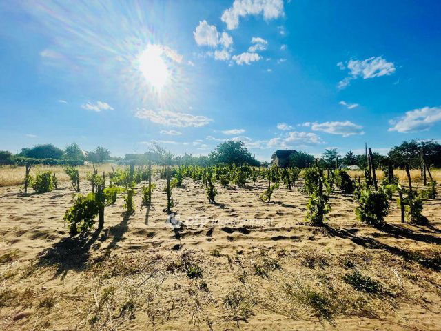 Eladó telek, Debrecenben 25.5 M Ft / költözzbe.hu