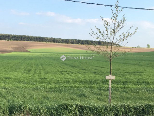 Eladó telek, Etyeken 9.6 M Ft / költözzbe.hu