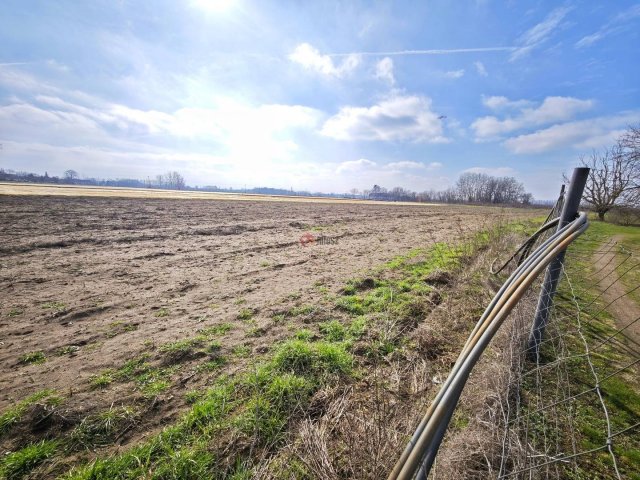 Eladó mezogazdasagi ingatlan, Szatymazon 4.5 M Ft