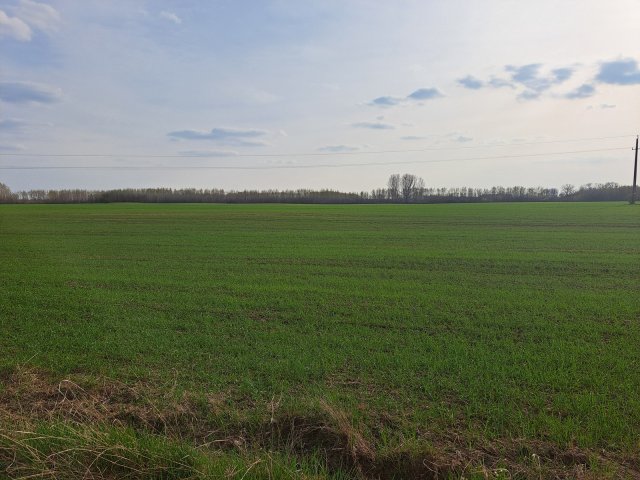 Eladó mezogazdasagi ingatlan, Pilisen 7.5 M Ft