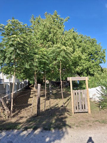 Eladó telek, Budapesten, XVI. kerületben 19 M Ft