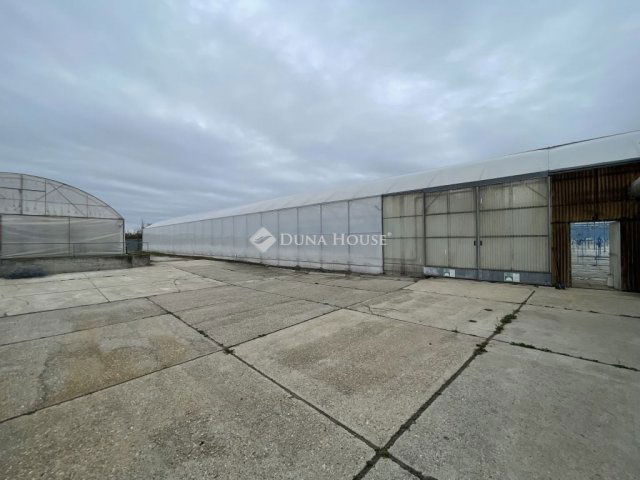 Eladó családi ház, Szabadszálláson 140 M Ft, 5 szobás