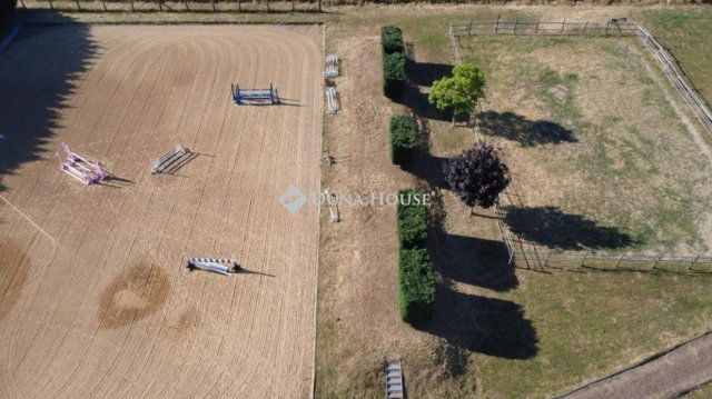 Eladó mezogazdasagi ingatlan, Pogányon 450 M Ft