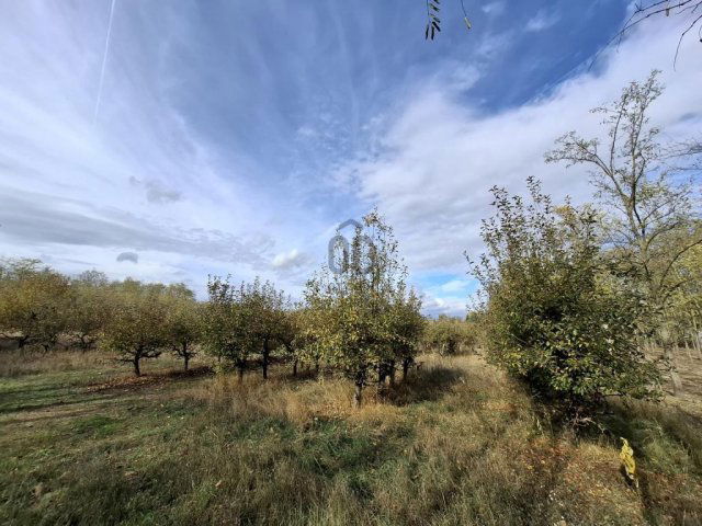 Eladó telek, Dánszentmiklóson 9.7 M Ft / költözzbe.hu