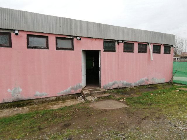 Eladó üzlethelyiség, Mindszentgodisán 15.95 M Ft