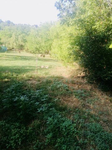 Eladó családi ház, Dunaújvárosban 15.8 M Ft, 2 szobás