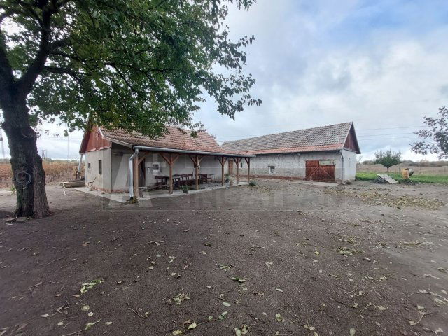 Eladó mezogazdasagi ingatlan, Röszkén 25 M Ft