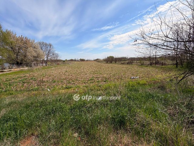 Eladó telek, Nyíregyházán 20 M Ft / költözzbe.hu