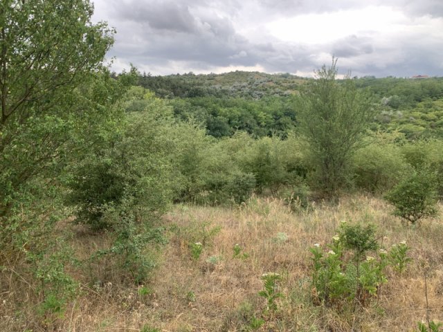 Eladó telek, Tinnyén 27.7 M Ft / költözzbe.hu