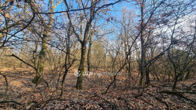 Eladó mezogazdasagi ingatlan, Pilisborosjenőn 12.99 M Ft