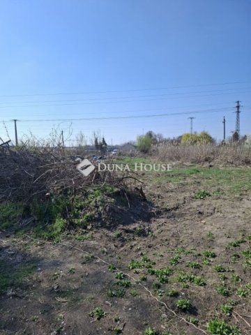 Eladó mezogazdasagi ingatlan, Szegeden 78 M Ft