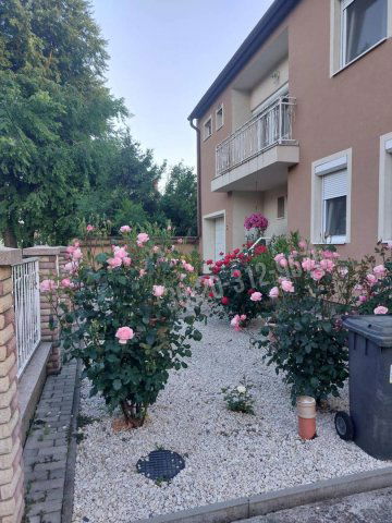 Eladó családi ház, Békéscsabán 98 M Ft, 5 szobás