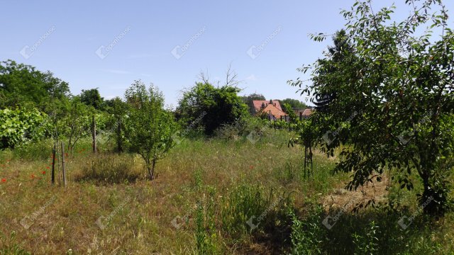 Eladó telek, Homokbödögén 4.5 M Ft / költözzbe.hu