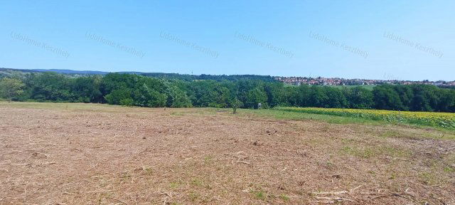 Eladó mezogazdasagi ingatlan, Felsőpáhokon 1.5 M Ft