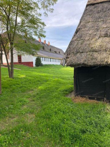 Eladó mezogazdasagi ingatlan, Lajosmizsén 205 M Ft, 22+4 szobás