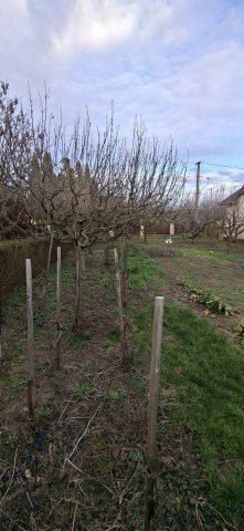 Eladó családi ház, Bátonyterenyén 64.9 M Ft, 7 szobás