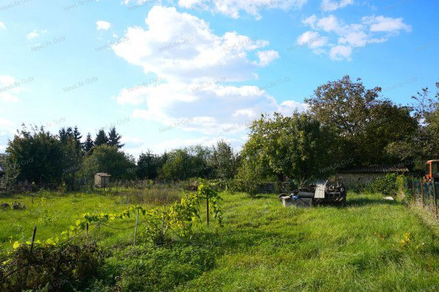 Eladó telek, Mosonszentmiklóson 11.5 M Ft / költözzbe.hu