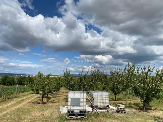 Eladó családi ház, Bicskén 18.5 M Ft / költözzbe.hu