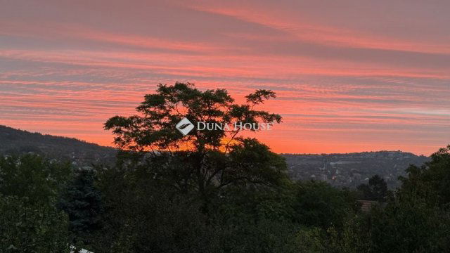 Eladó családi ház, Pilisborosjenőn 450 M Ft, 1 szobás