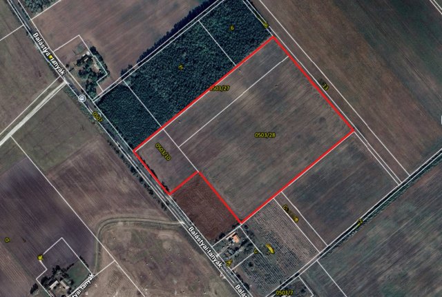 Eladó mezogazdasagi ingatlan, Balástyán 9.9 M Ft