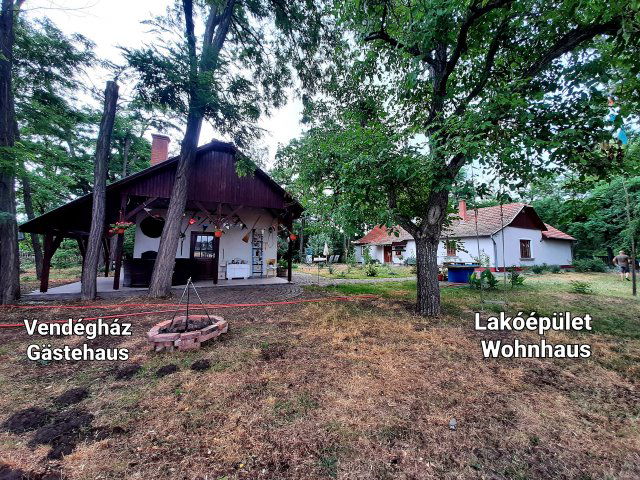 Eladó mezogazdasagi ingatlan, Tiszakécskén 79.99 M Ft