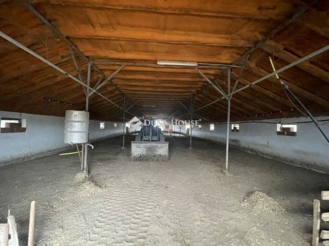 Eladó mezogazdasagi ingatlan, Domaszéken 160 M Ft