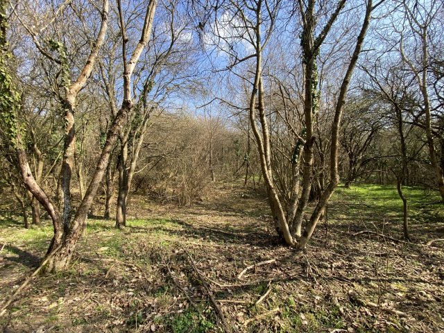 Eladó telek, Zalacsányon 5 M Ft / költözzbe.hu