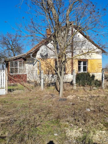 Eladó családi ház, Tiszasülyön 3.5 M Ft, 1 szobás