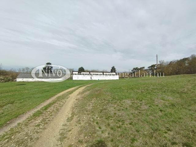 Eladó mezogazdasagi ingatlan, Veszprémben 133 M Ft