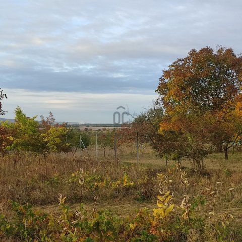 Eladó telek, Sülysápon 14.9 M Ft / költözzbe.hu