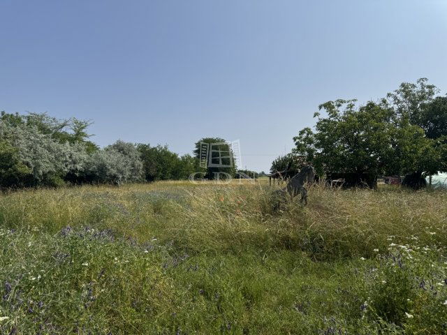 Eladó telek, Gárdonyban 54 M Ft / költözzbe.hu