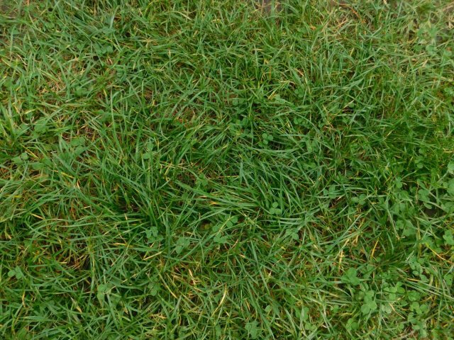 Eladó telek, Öreglakon 3.2 M Ft / költözzbe.hu