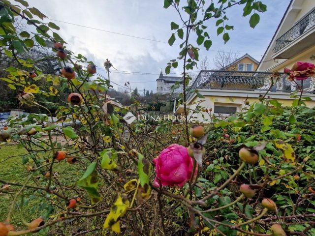 Kiadó családi ház, albérlet, Budapesten, XXII. kerületben
