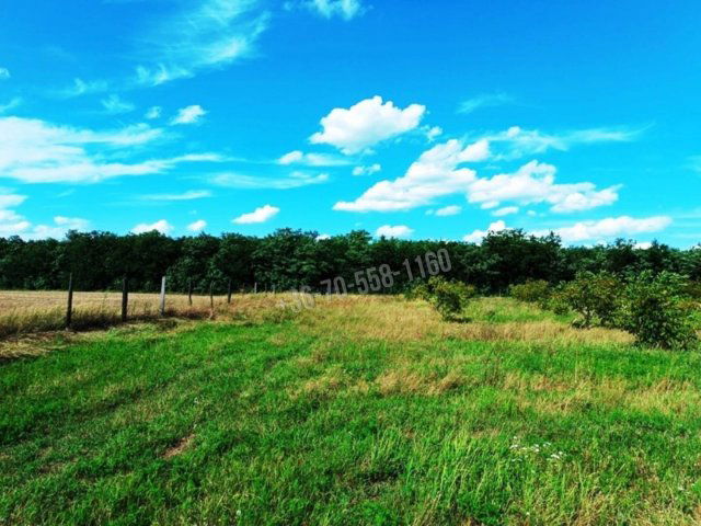 Eladó mezogazdasagi ingatlan, Sződön 89 M Ft